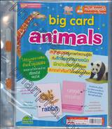 big card animals