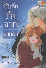 บันทึกรักจากฟากฟ้า เล่ม 01