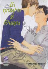 รักทุกอย่างที่เป็นคุณ (เล่มเดียวจบ)