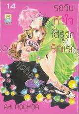 รอวันหัวใจได้รู้จักรักแรก เล่ม 14