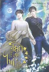 โลกแห่งไพ่ เล่ม 13
