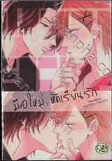 มือใหม่ หัดเรียนรัก (จบในเล่ม) 