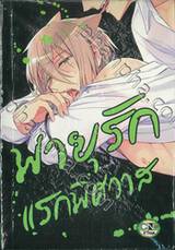 พายุรักแรกพิศวาส (จบในเล่ม)