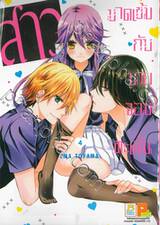 สาวมาดเข้มกับนายจอมทะเล้น เล่ม 04 (6 เล่มจบ)