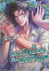 เพราะรักนี้ไม่ใช่เรื่องบังเอิญ เล่ม 01 - 02 (จบ)