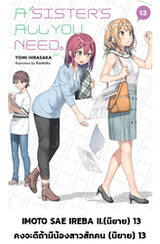 คงจะดีถ้ามีน้องสาวสักคน เล่ม 13 (นิยาย) (Pre Order)