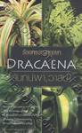 ร้อยพรรณพฤกษา : จันทน์ผา, วาสนา - Dracaena