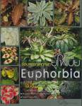 ร้อยพรรณพฤกษา : ยูโฟเบีย - Euphorbia