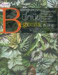 ร้อยพรรณพฤกษา : บีโกเนีย Begonia