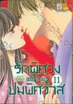 รักพิศวง ปมพิศวาส เล่ม 11