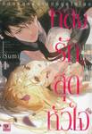 หลงรักสุดหัวใจคุณทนายผมดำ เล่ม 01