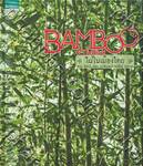 ไผ่ในเมืองไทย : BAMBOO of Thailand