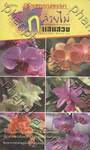 ร้อยพรรณพฤกษา : กล้วยไม้แสนสวย - Beautiful Orchids