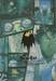 BILLY BAT บิลลี่ แบท เล่ม 11