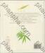 ไผ่ในเมืองไทย : BAMBOO of Thailand