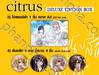 citrus [ซี ต รั ส] เล่ม 01 - 10 (Deluxe Edition Box - Limited Edition)